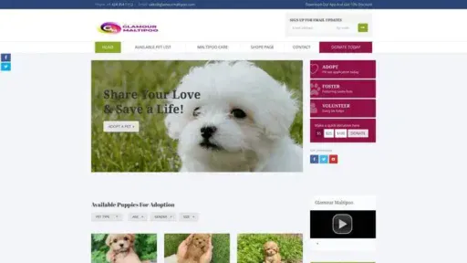 Screenshot of