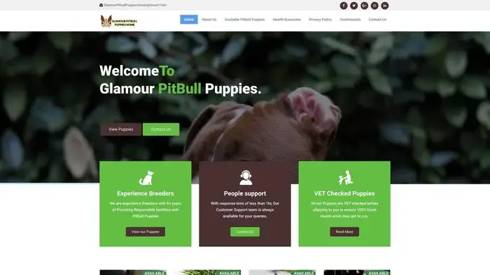 Screenshot of