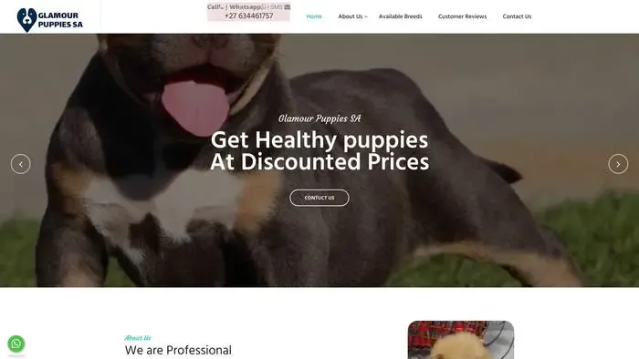 Screenshot of