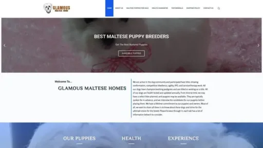 Screenshot of