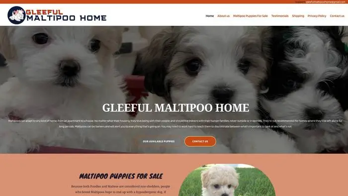 Screenshot of