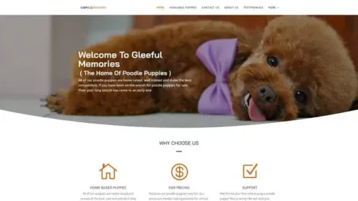 Screenshot of