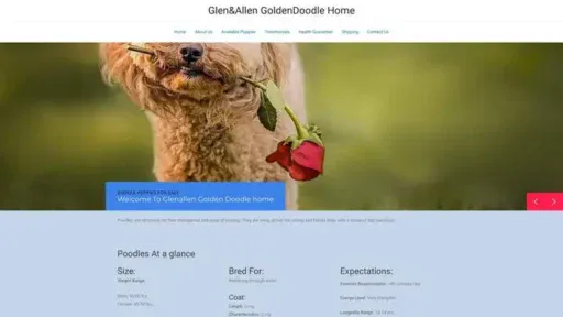Screenshot of