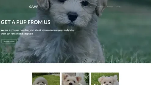 Screenshot of