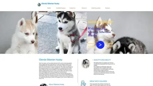 Screenshot of