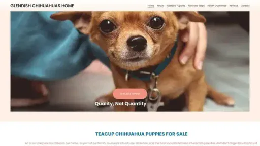 Screenshot of|