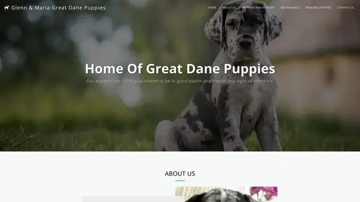 Screenshot of