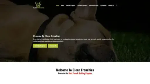 Screenshot of