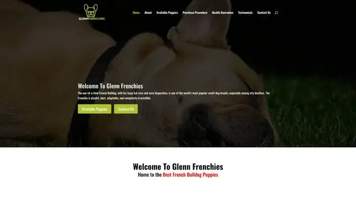 Screenshot of