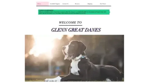 Screenshot of
