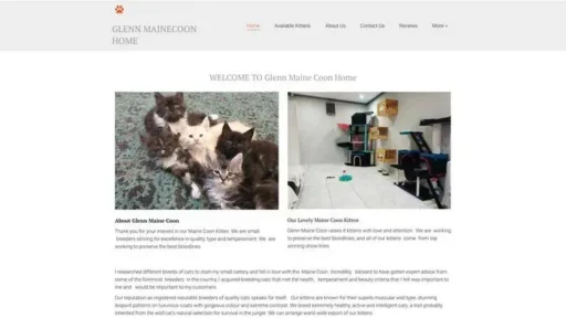Screenshot of