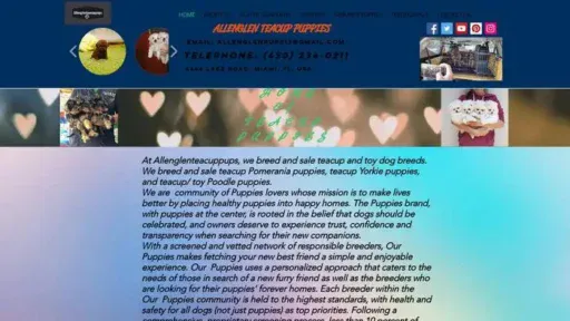 Screenshot of