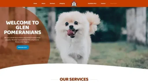 Screenshot of