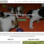 glenwood jackrussell terrier s com