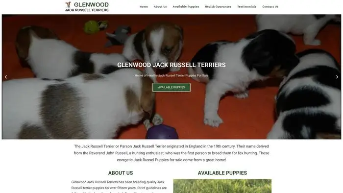 glenwood jackrussell terrier s com