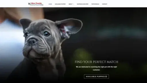 Screenshot of