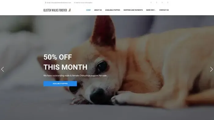 Screenshot of