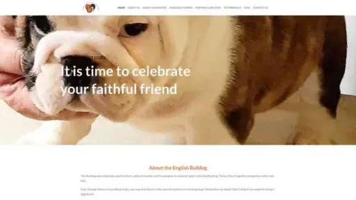 Screenshot of