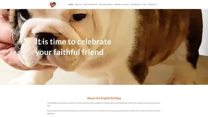 Screenshot of