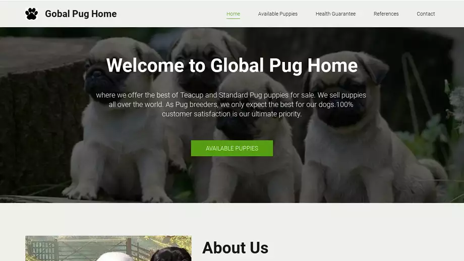 Screenshot of