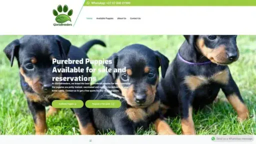 Screenshot of
