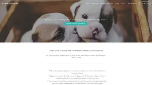 Screenshot of