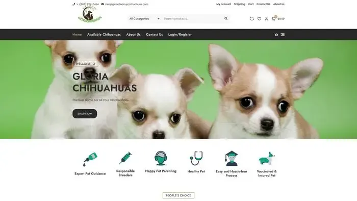 Screenshot of