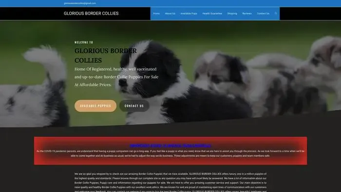 Screenshot of