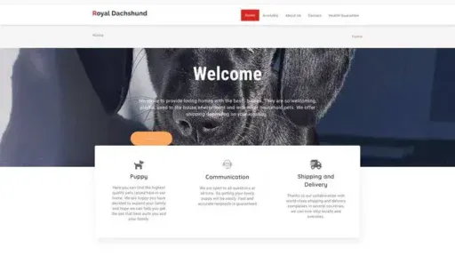 Screenshot of