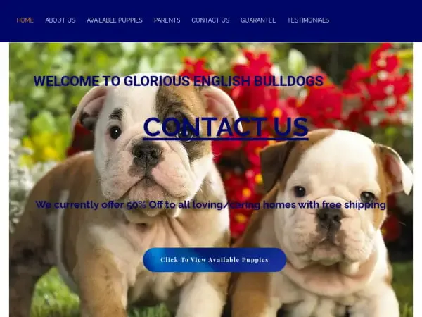 Screenshot of