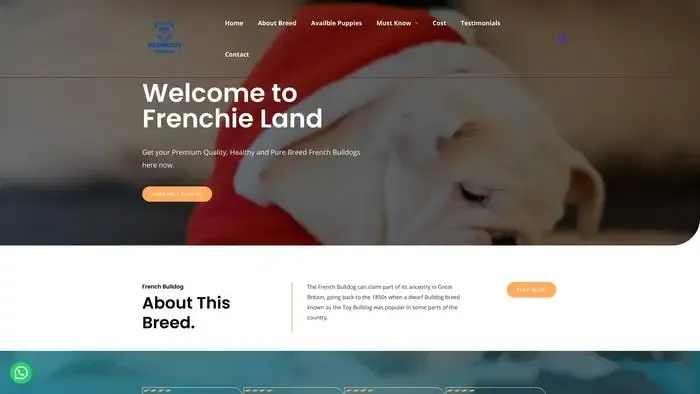 Screenshot of