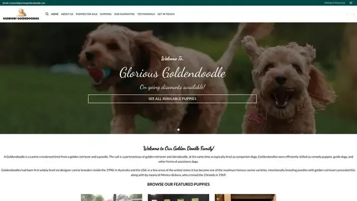 Screenshot of