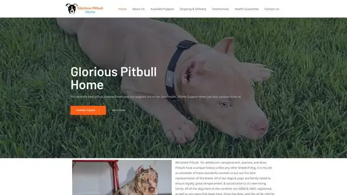 Screenshot of