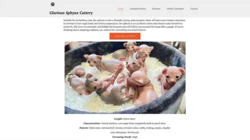 Screenshot of