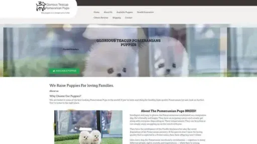 Screenshot of