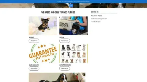 Screenshot of