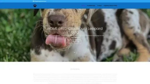 Screenshot of