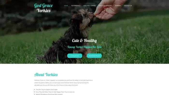 Screenshot of