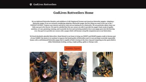 Screenshot of