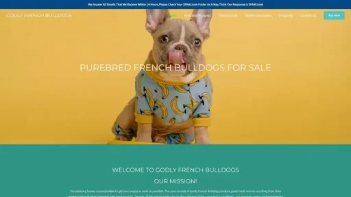 Screenshot of|