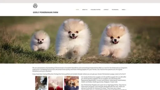 Screenshot of
