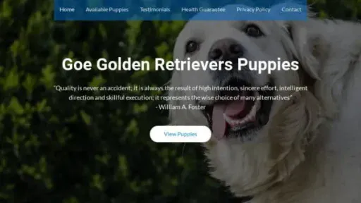Screenshot of