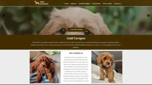 Screenshot of