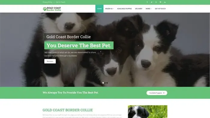 Screenshot of