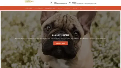 Screenshot of