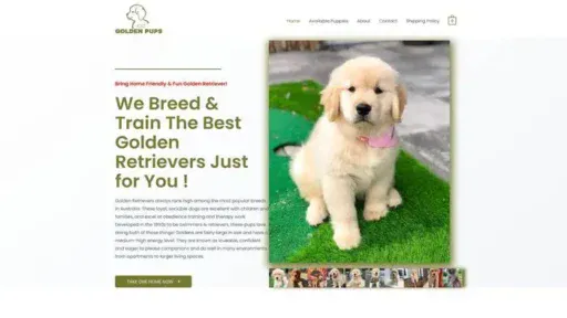 Screenshot of