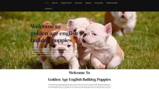Screenshot of