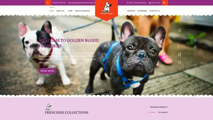 Screenshot of