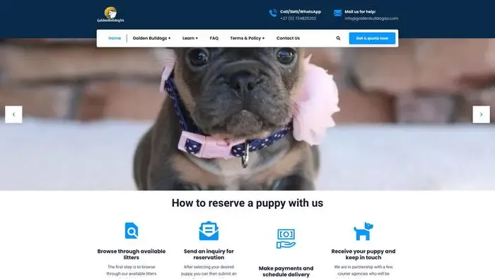 Screenshot of
