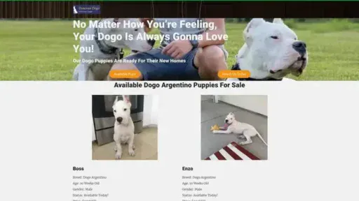 Screenshot of